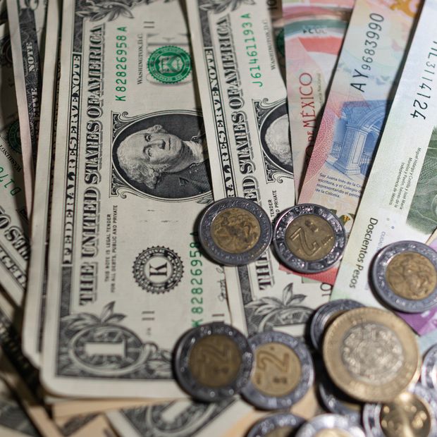 Dólares y billetes mexicanos. Foto: N+